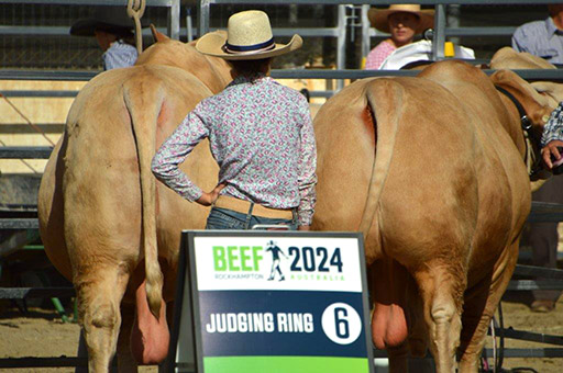 Beef Australia 2024 Photos