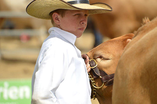 Beef Australia 2024 Photos