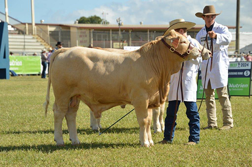 Beef Australia 2024 Photos