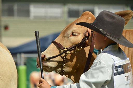 Beef Australia 2024 Photos