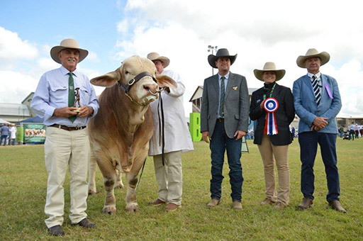 Beef Australia 2024 Photos