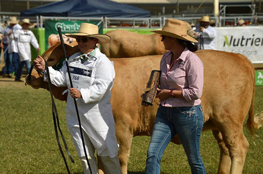 Beef Australia 2024 Photos