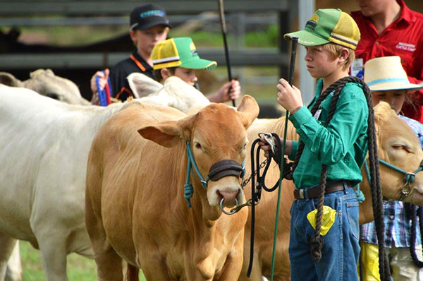 Charbray Young Breeders Class of 2024