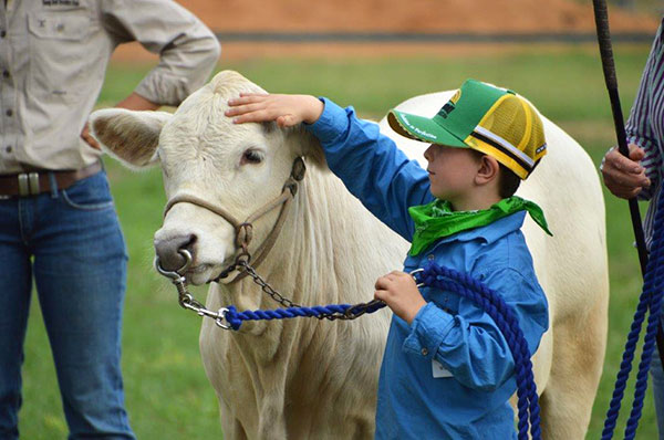 Charbray Young Breeders Class of 2024