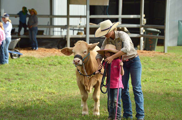 Charbray Young Breeders Class of 2024