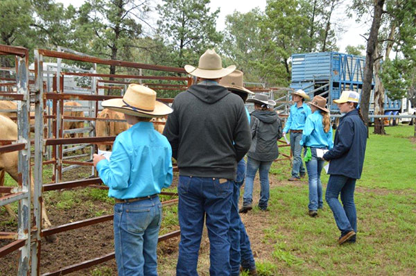 Charbray Young Breeders Class of 2024