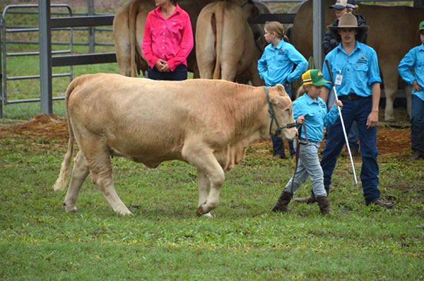 Charbray Young Breeders Class of 2024